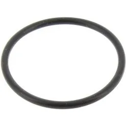 Joint O-ring 25,12x1,78 Pour Nettoyeur Haute Pression Lavor